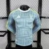 Juventus Soccer Jersey Away Long Sleeve Shirt 2025/26