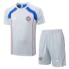 Bayern Munich Training Jersey Kit Gray 2025/26