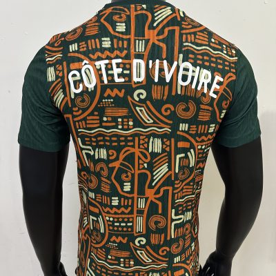 Alternative view of Côte d'Ivoire Soccer Jersey Training Shirt 2025