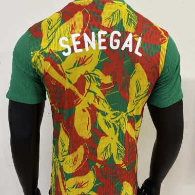 Alternative view of Senegal Soccer Jersey Training Shirt 2025