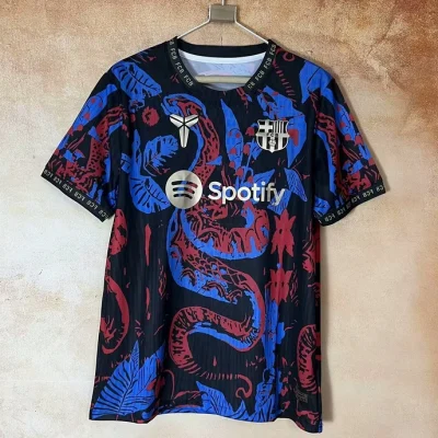 Barcelona Soccer Jersey Special Edition Custom Shirt 2025/26