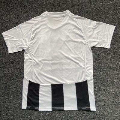 Alternative view of Beşiktaş Third Away Football Jersey Custom Shirt 2024/25