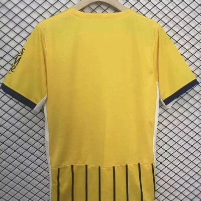 Alternative view of Brighton & Hove Albion Football Jersey Away Custom Shirt 2024/25