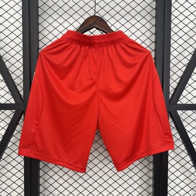 Alternative view of Bayern Munich Soccer Shorts Custom Home 2025/26