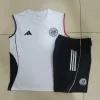 Ajax Sleeveless Training Kit White 2025/26