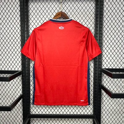 Alternative view of Lille OSC Soccer Jersey Home Custom Shirt 2024/25