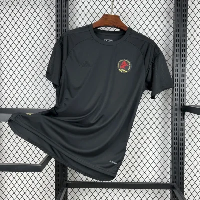 Aston Villa Football Jersey 150th Anniversary Custom Shirt 2025/26