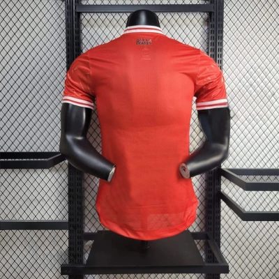 Alternative view of Liverpool  Football Jersey Special Edition Shirt 2024/25