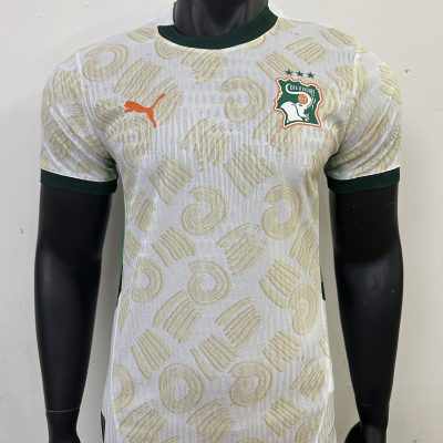 Côte d'Ivoire Soccer Jersey Away Shirt 2025