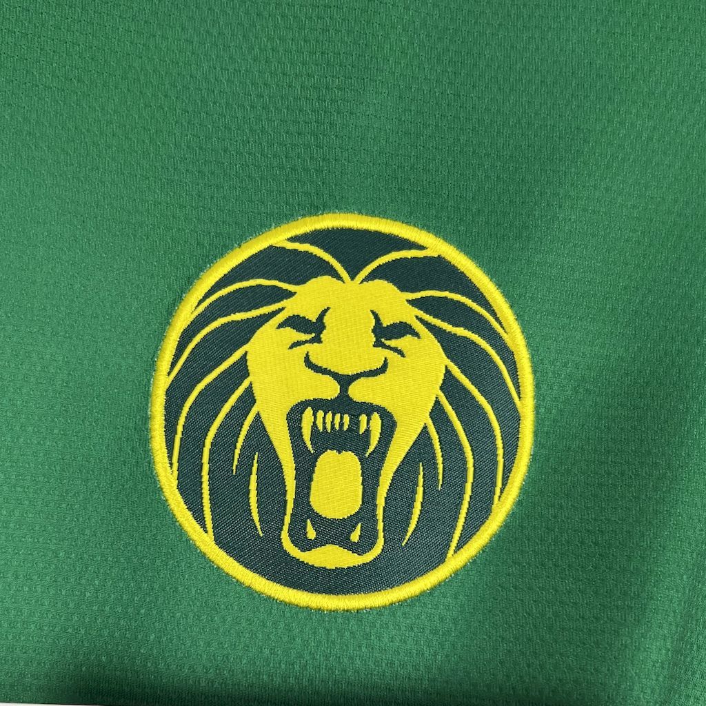 Cameroon Soccer Jersey Home Custom Shirt 2025 - Image 5