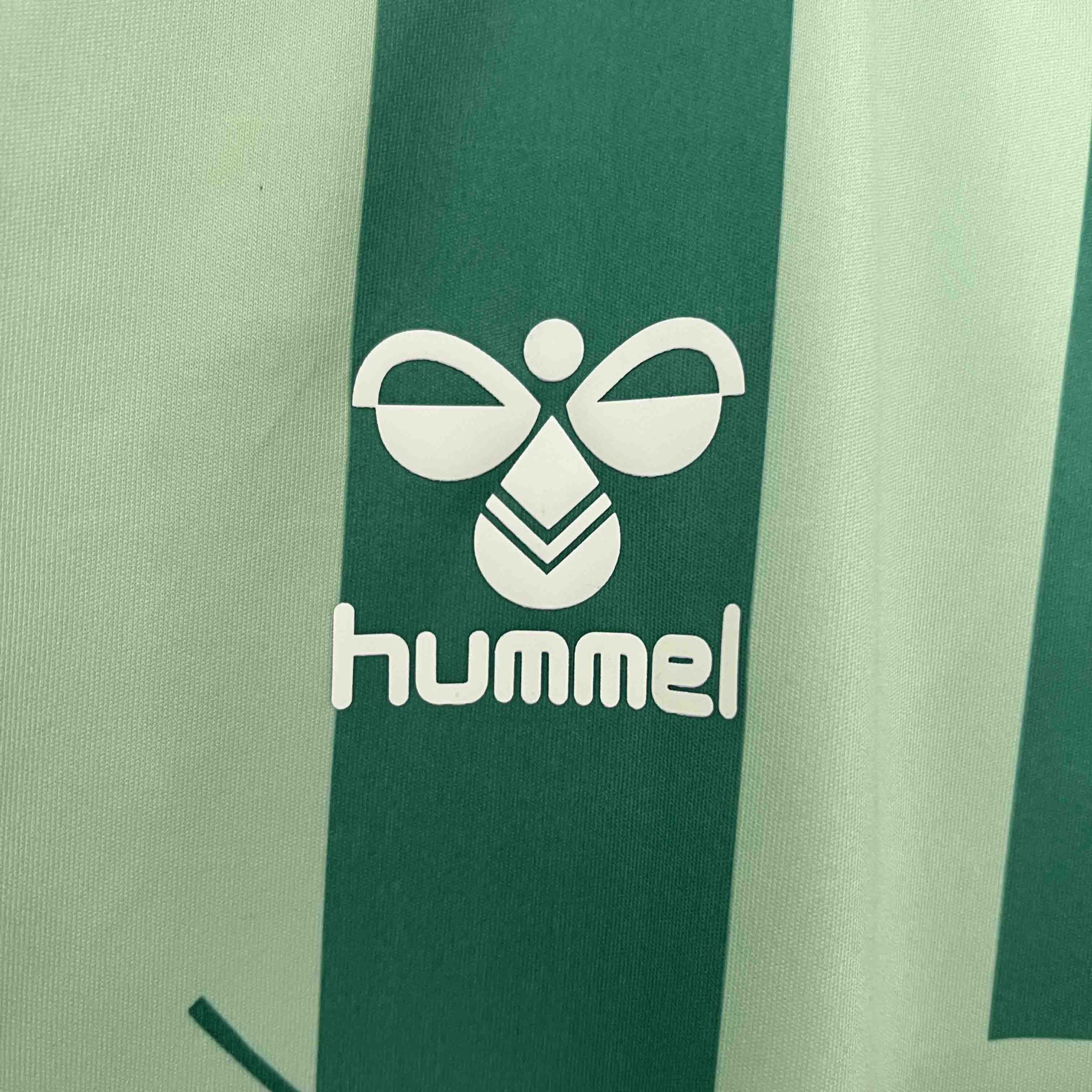 Real Betis Special Edition Soccer Jersey 2024/25 - Image 5