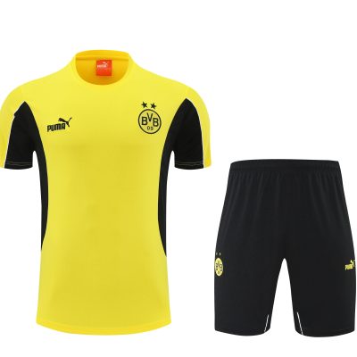 Borussia Dortmund Training Jersey Kit Yellow 2025/26