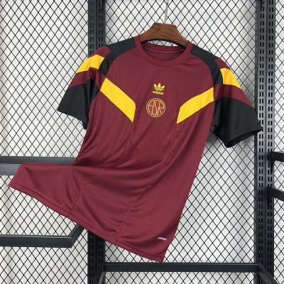 Roma Soccer Jersey Training Custom Shirt 2024/25