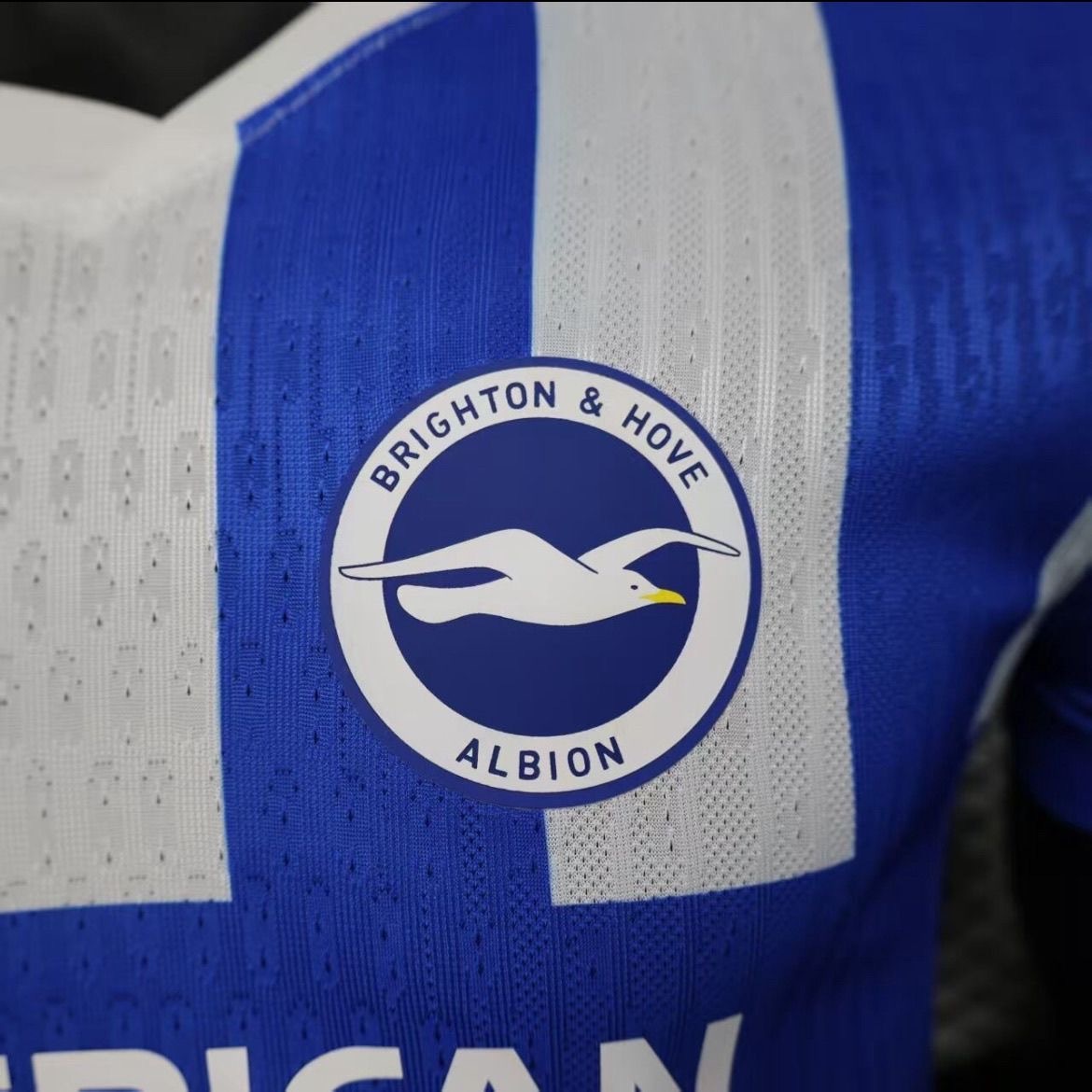 Brighton & Hove Albion Football Jersey Home Shirt 2025/26 - Image 3