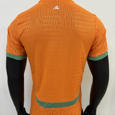 Alternative view of Côte d'Ivoire  Soccer Jersey Home Shirt 2025