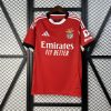 Benfica Soccer Jersey Home Custom Shirt 2025/26